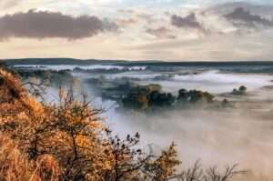 Kaip rudeninės šalnos veikia augalus 5-6 klimato zonoje